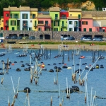2011_cinque_terre_394