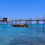 img_20220731_070308_0218