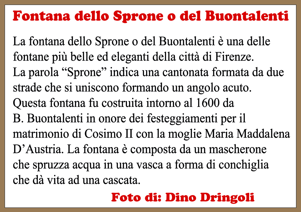 dino-dringoli_0