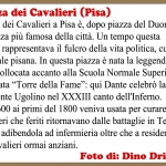 17-dino-dringoli