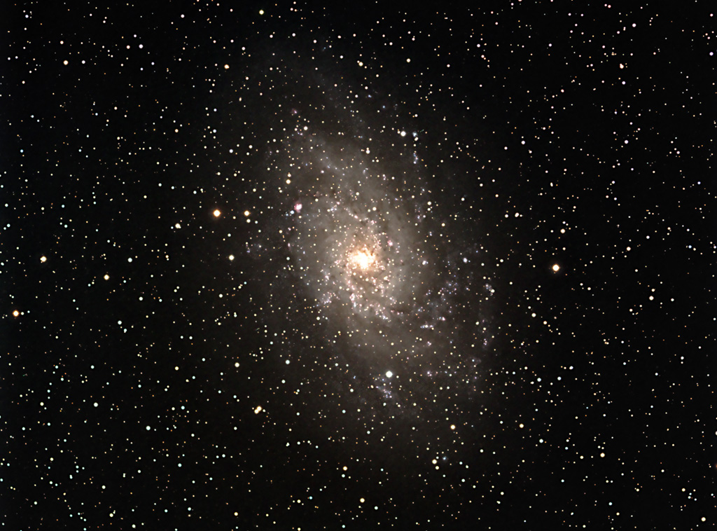 M 33