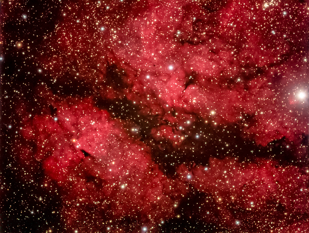 IC 1318 e B347