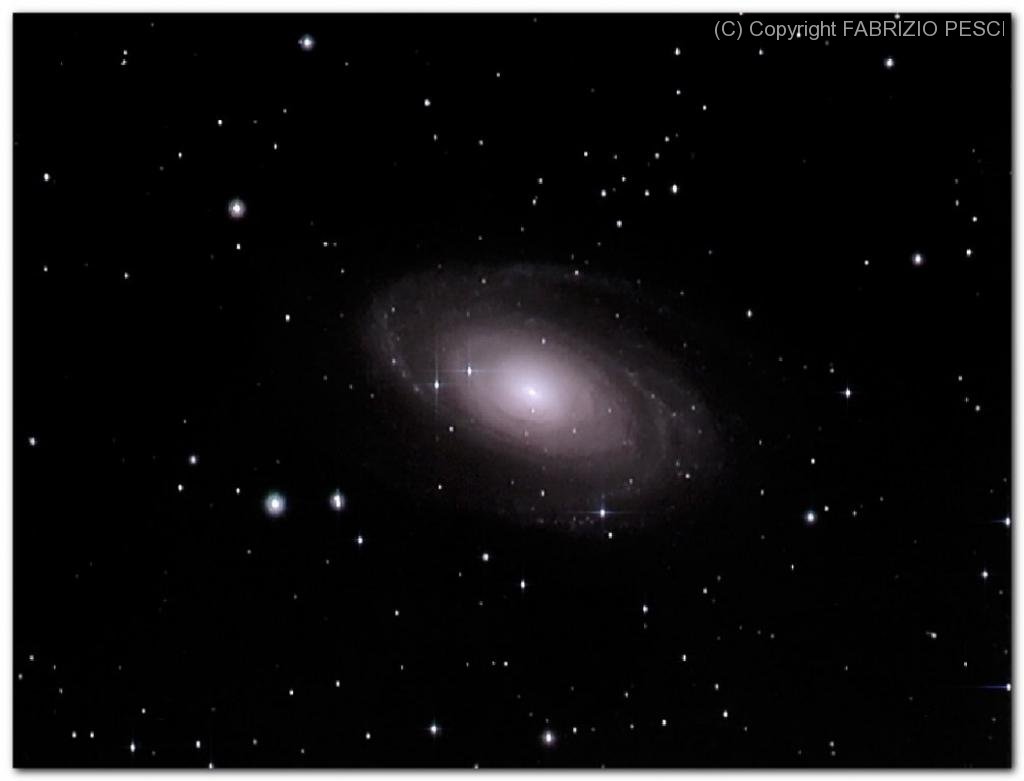 m81-fabritaz