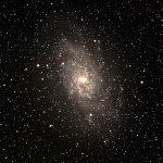 M 33