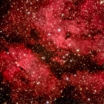 IC 1318 e B347