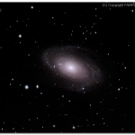 m81-fabritaz