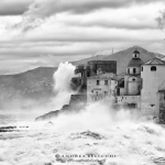 camogli