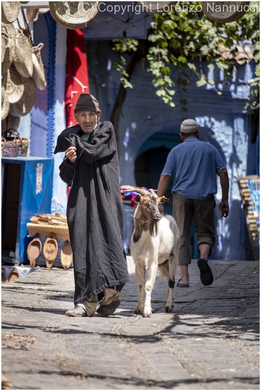 chefchaouen-6