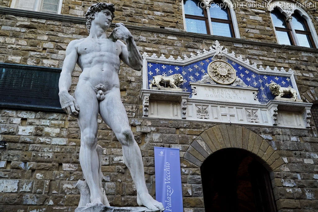 David di Palazzo Vecchio di giorno di Stefano Sansavini
