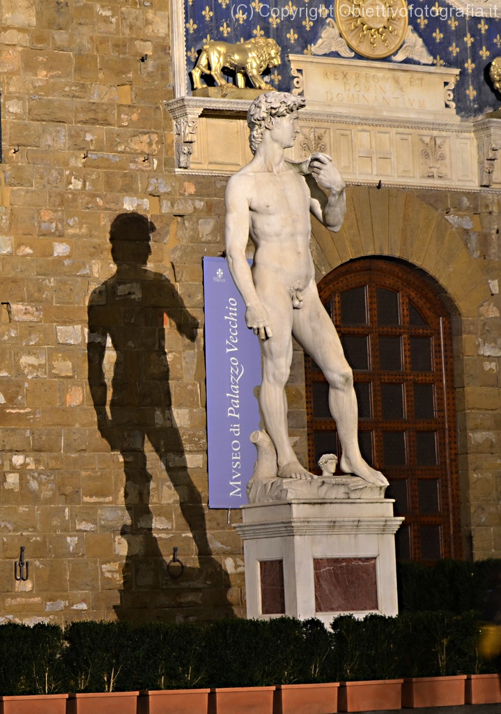 David di Palazzo Vecchio di notte di Rolando Squilloni