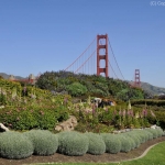 golden-gate-08