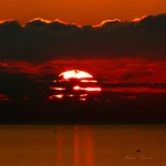 1 img