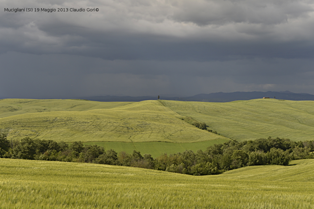 mucigliani-19052013-cg-_dsc1226