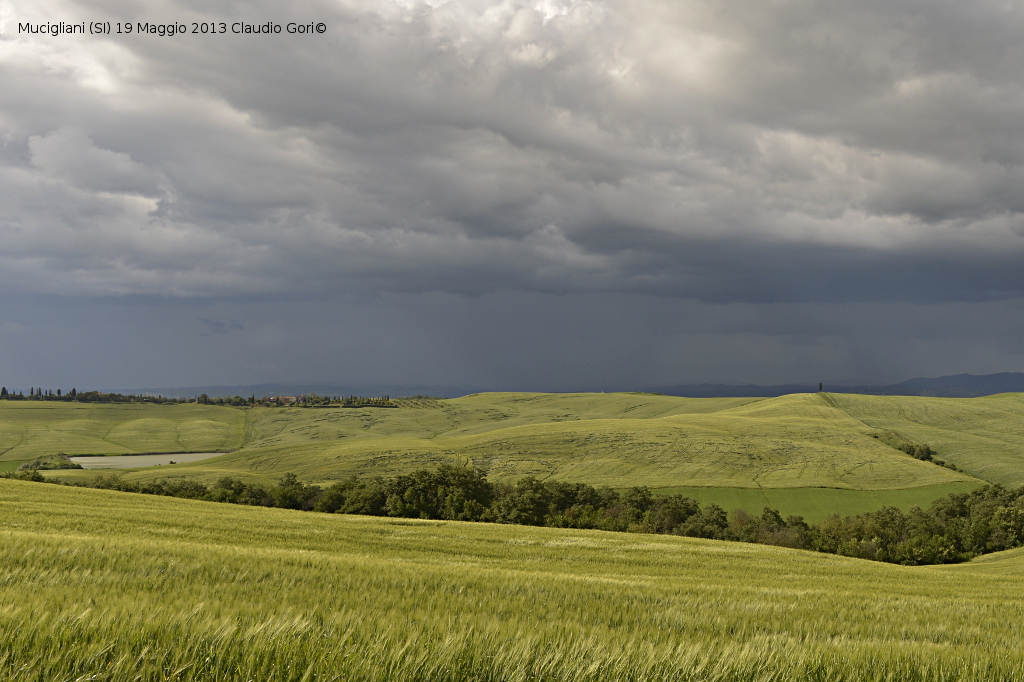 mucigliani-19052013-cg-_dsc1227