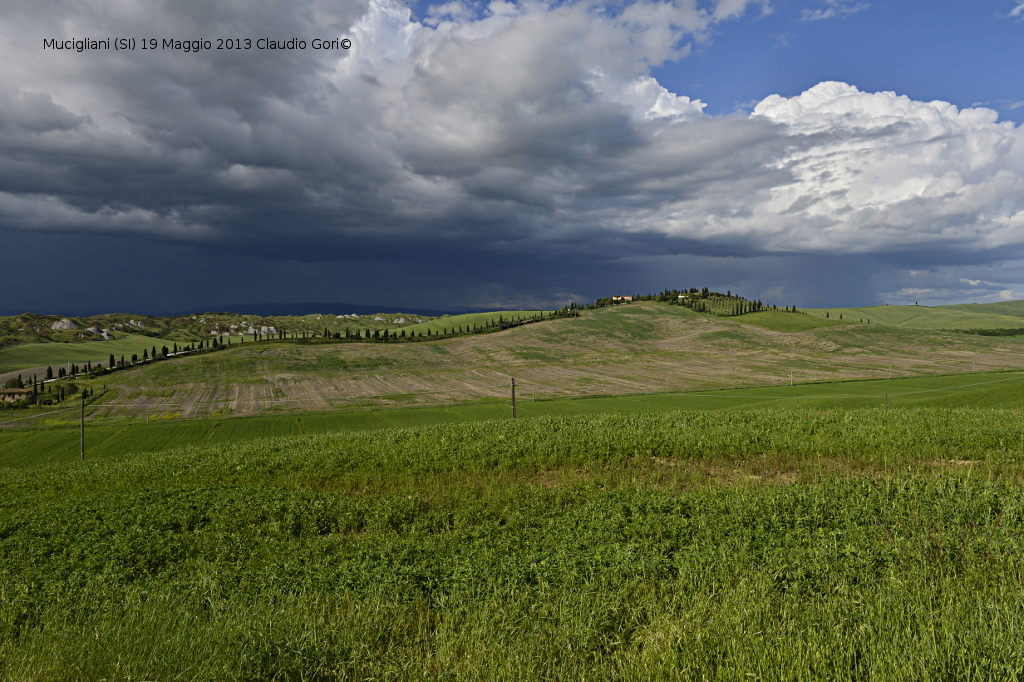 mucigliani-19052013-cg-_dsc1232