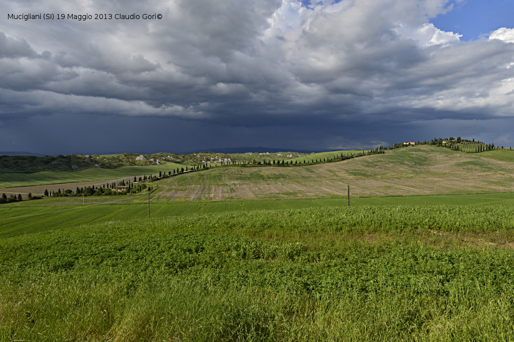 mucigliani-19052013-cg-_dsc1233