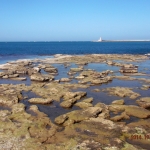 dscf1544