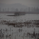 160102-003-0002-_dsc0024