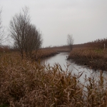 160102-003-0004-_dsc0030