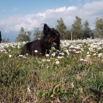beppe-nina-4