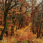 dsc_1744_fhdr