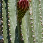 p1010532