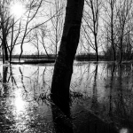 img_2162-2