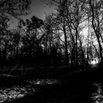 mg_9994