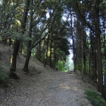 parco-di-monte-ceceri-1