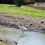 2021_parco_della_piana_sesto_003