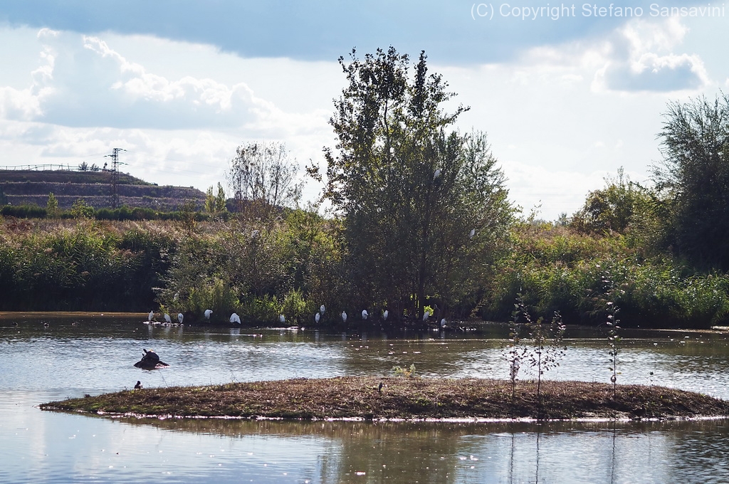 2019_parco_della_piana_012