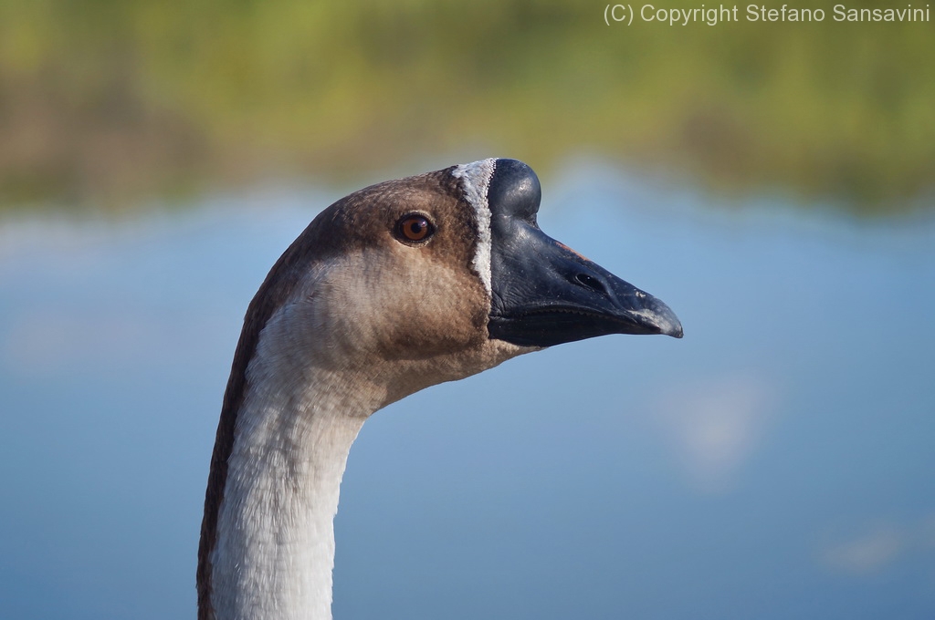 2019_parco_della_piana_055