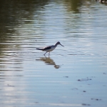 2019_parco_della_piana_019