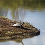 2019_parco_della_piana_020