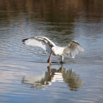 2019_parco_della_piana_025