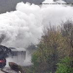 741_120-san-martino-16042012-cg-dsc_2270_0