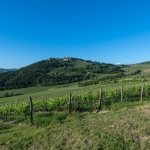nipozzano-2021-05-27