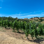 persignano-2021-06-26