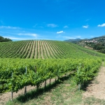 persignano-2021-06-26_0