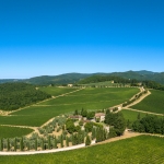 poggio-a-remole-2022-07-10