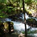202608030-047-prova-3