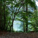 202608030-047-prova-9